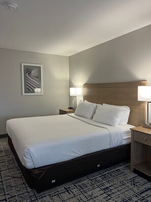 Basic Single Room | Desk, laptop workspace, blackout drapes, iron/ironing board - Riverside Hotel (Belle Chasse)