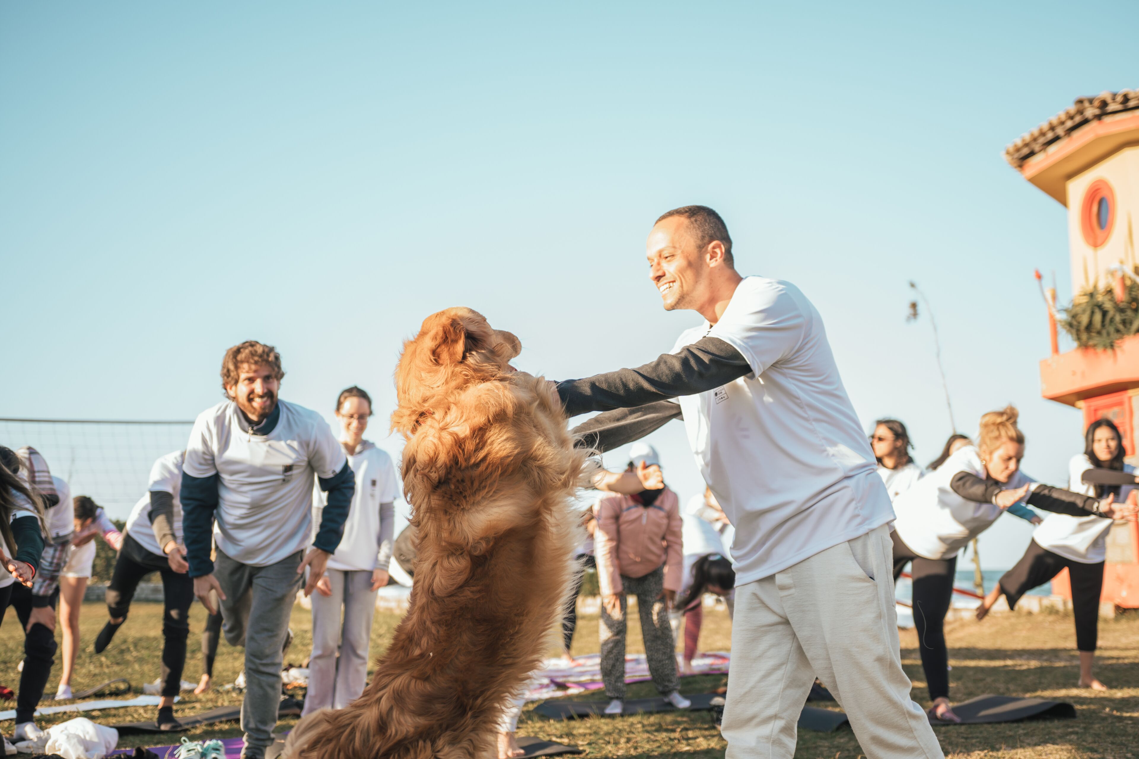 Foto - Selina Floripa