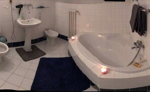 Hair dryer, towels, shampoo, toilet paper