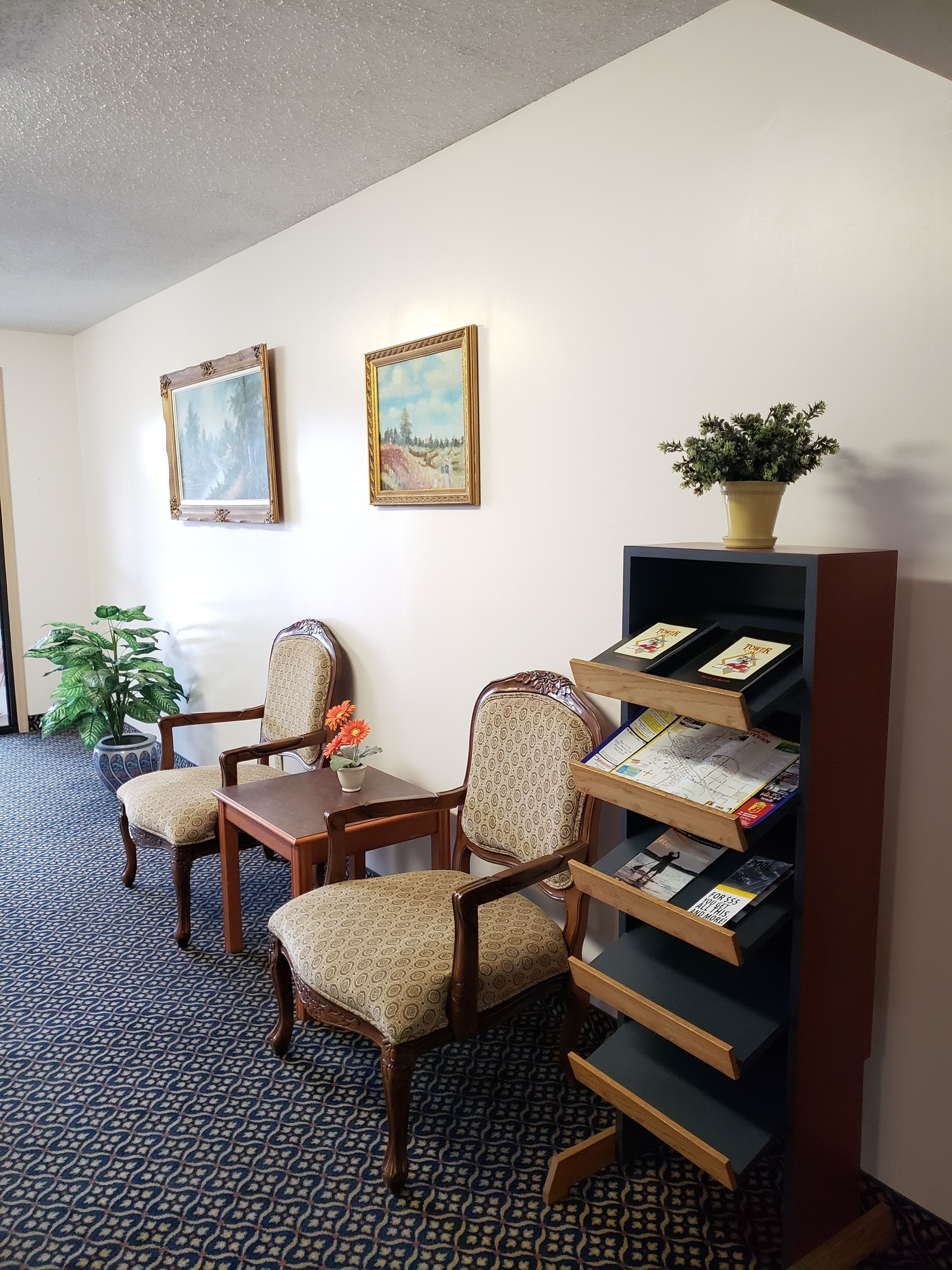 A room with a patterned carpet, wooden furniture, a bookshelf with books, and two framed paintings on the wall.