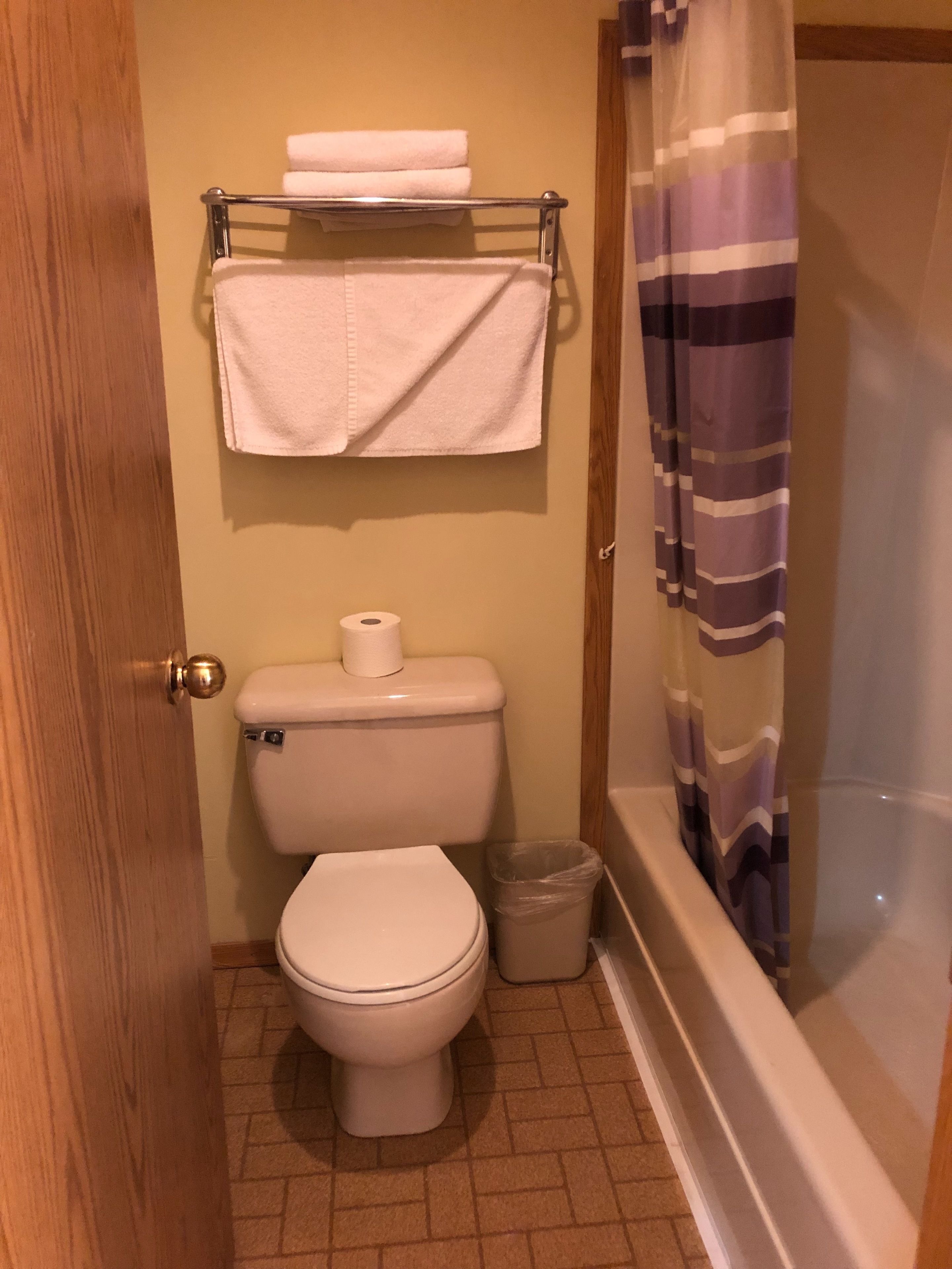 A small bathroom with a toilet, a towel rack with two towels, a roll of toilet paper, a trash bin, and a shower curtain.