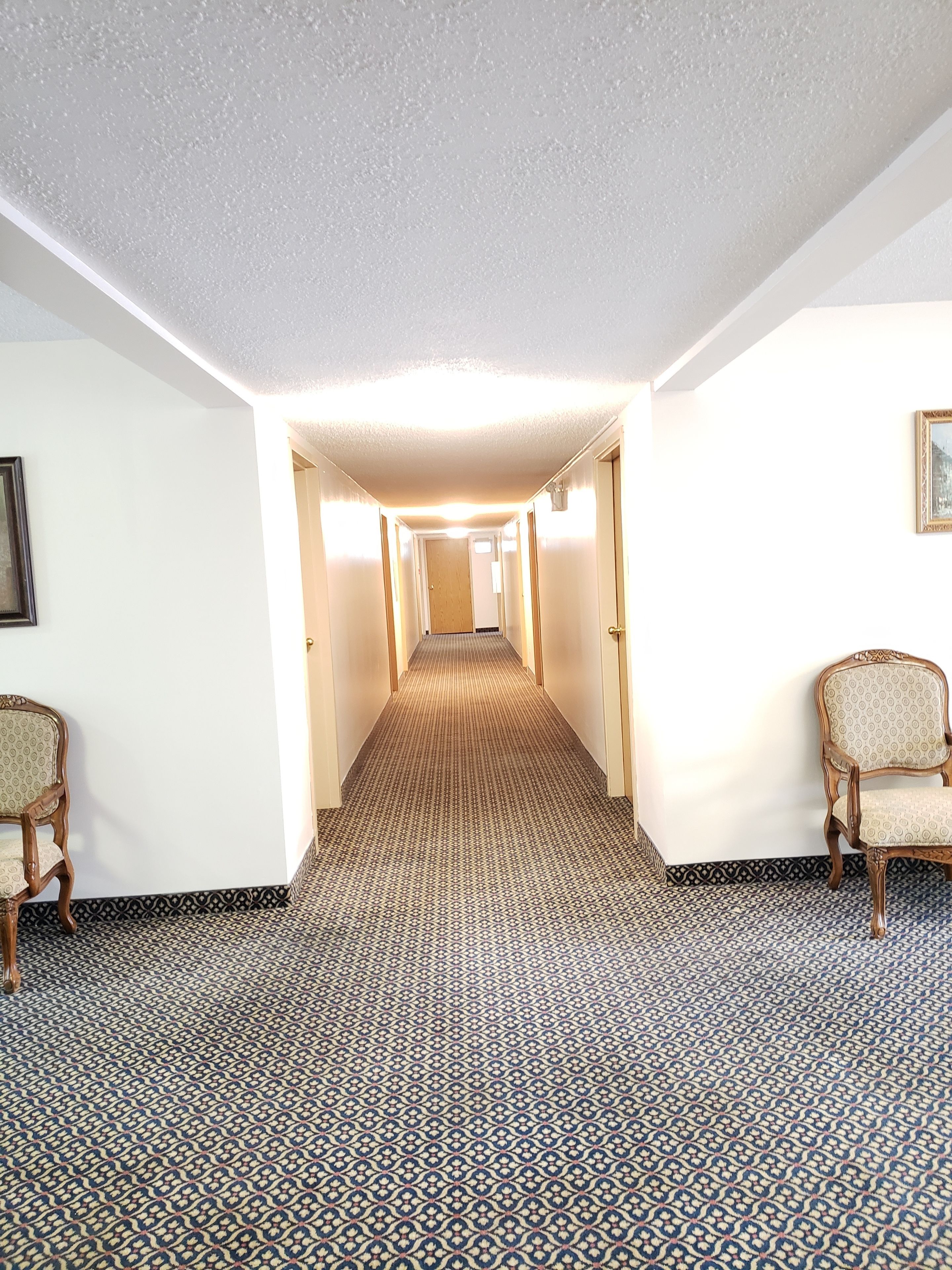 A hotel hallway with patterned carpet, wooden chairs, and framed pictures on the walls.