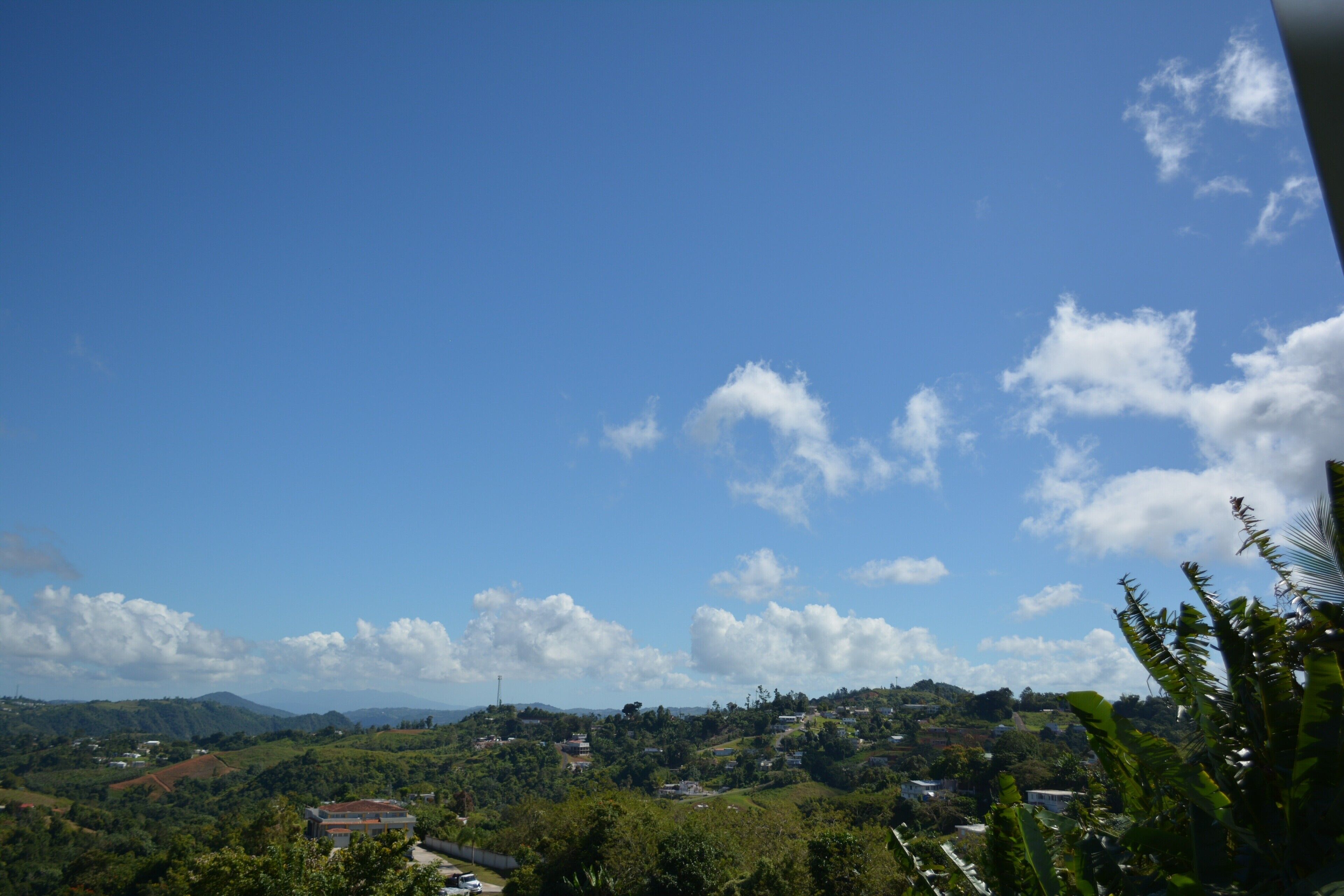 A panoramic view of a hilly landscape with scattered houses and lush greenery.