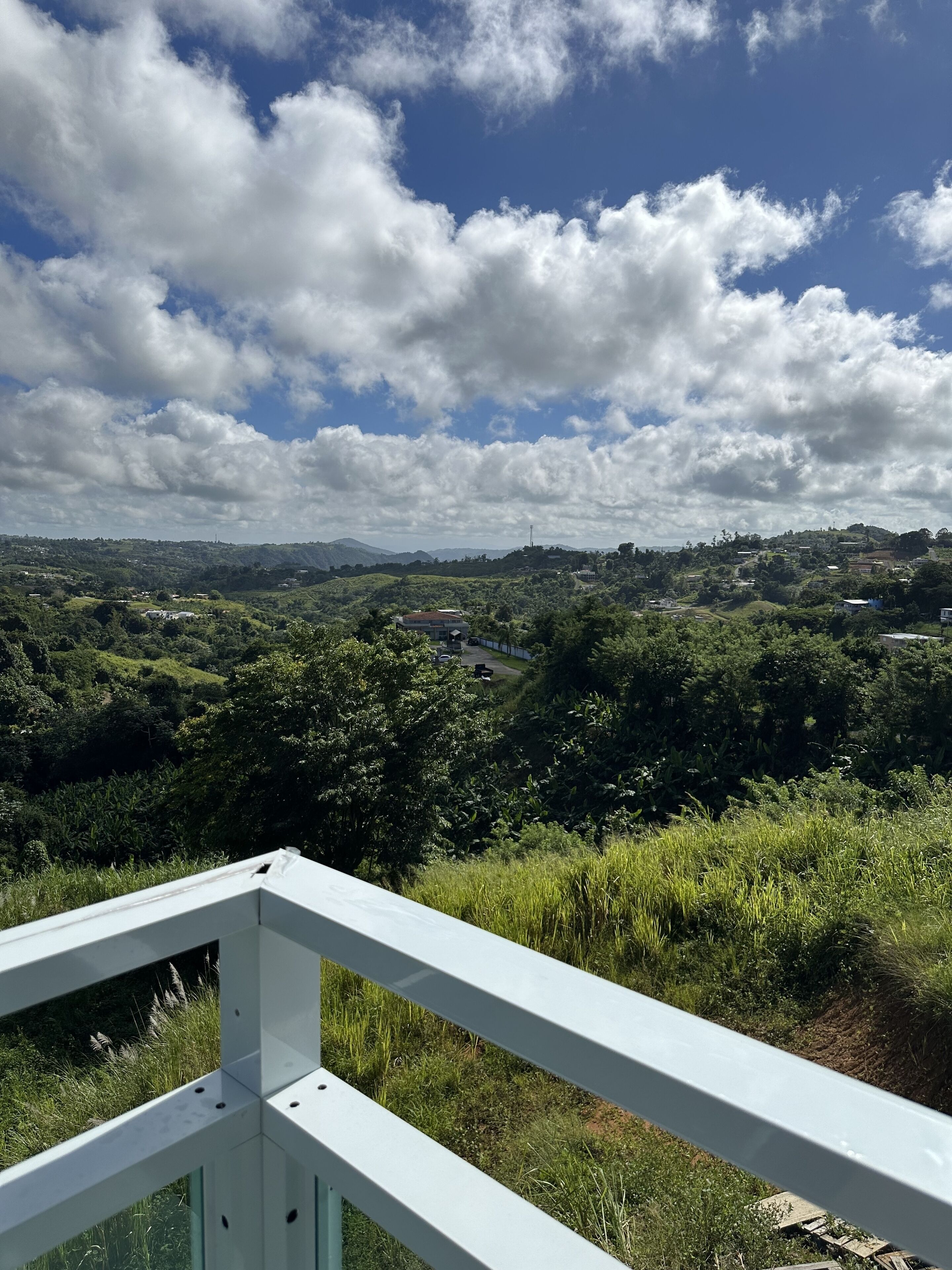 Une vue depuis un balcon doté d’une balustrade, donnant sur un paysage verdoyant avec des arbres et une colline au loin.