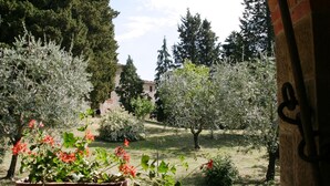 Um pátio com oliveiras, uma parede de tijolos e um edifício ao fundo.