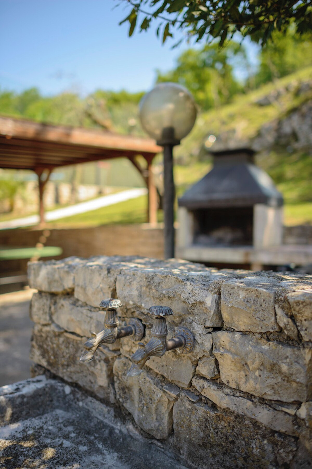 Imagen de perfil del propietario o de la propietaria