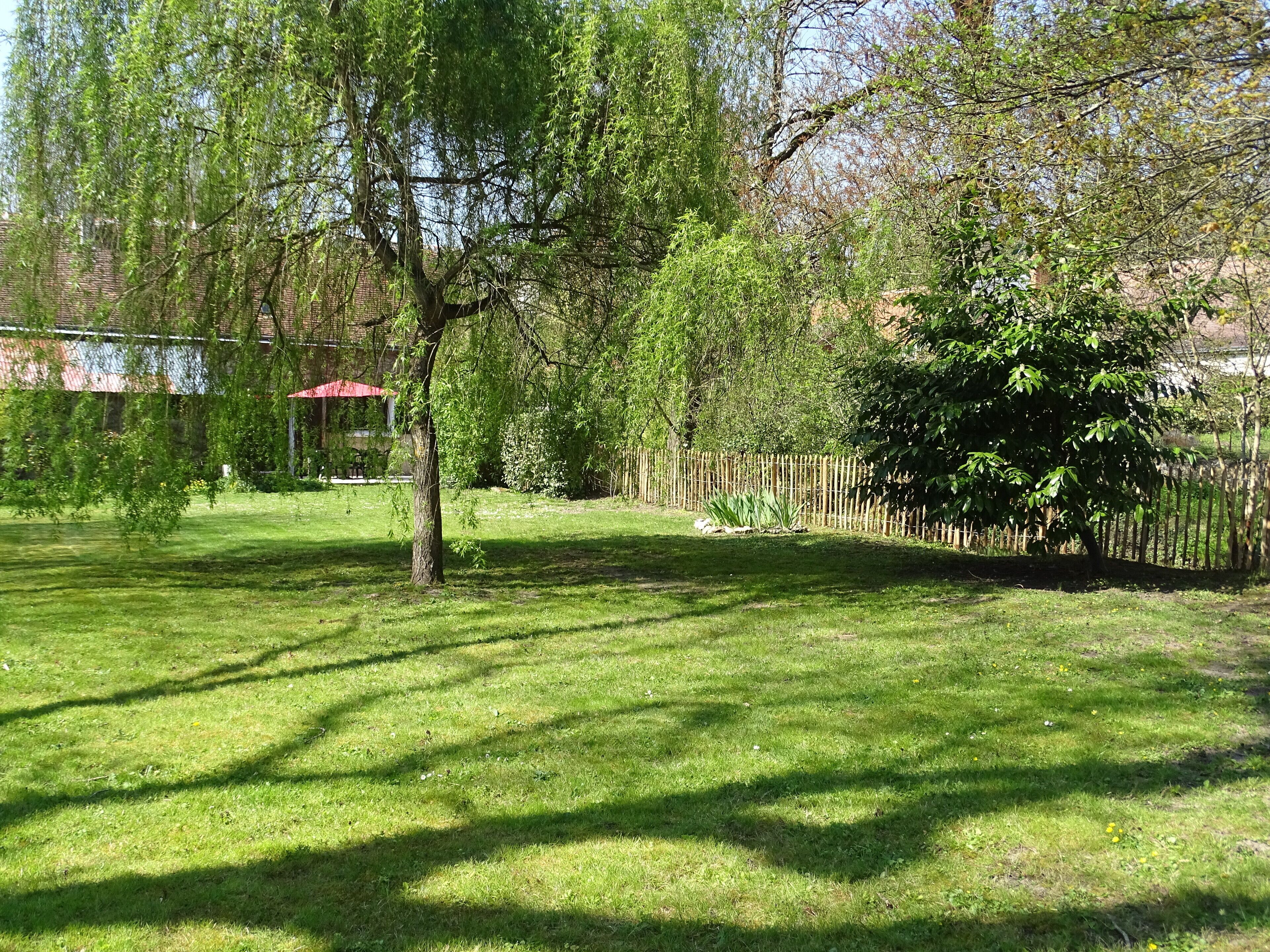 Un patio con césped, árboles y una valla de madera.