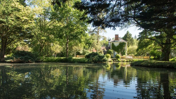 A tranquil pond surrounded by lush greenery and a gazebo. - Le moulin de la Follaine (Azay-sur-Indre)