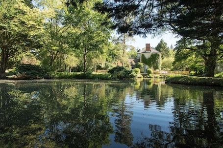 Lake. Le moulin de la Follaine