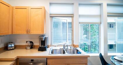 Moderni studio kaupungin sydämessä II