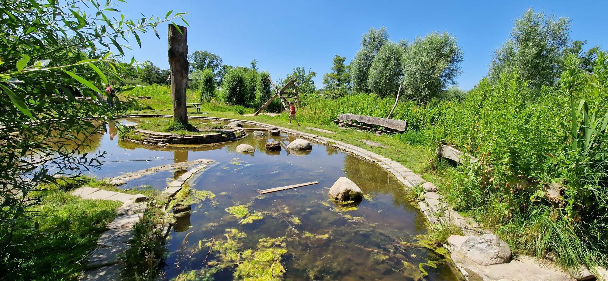 Een natuurlijke vijver met een houten constructie, omgeven door groen en bomen.