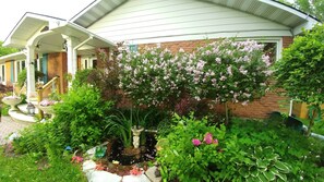 Property grounds - Merlot Sunset B&B (Rideau Lakes)