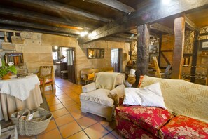 TV, fireplace, DVD player, books