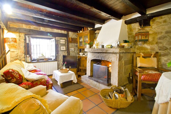 TV, fireplace, DVD player, books