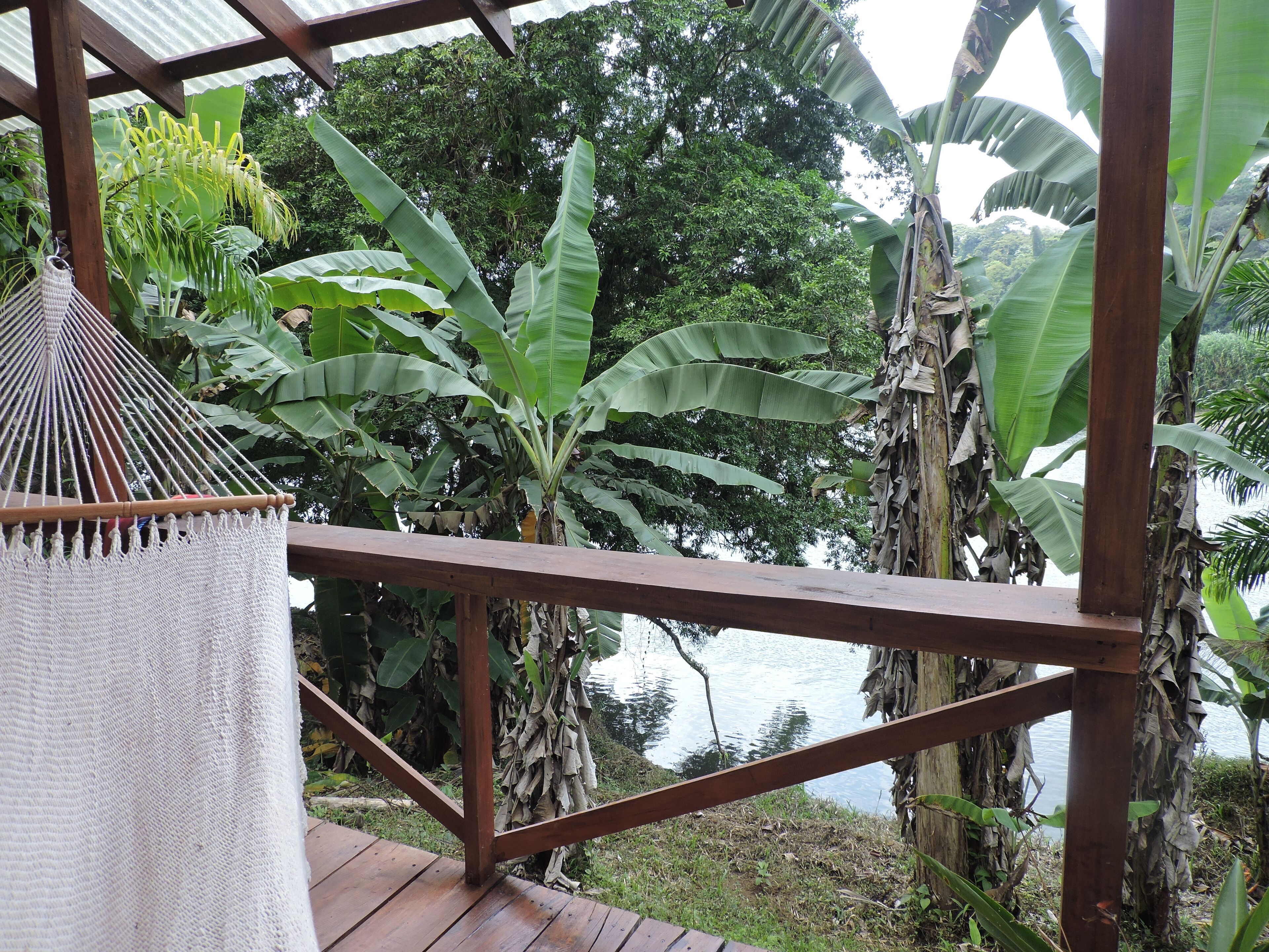 Deluxe-Bungalow, 2 Queen-Betten (Danto) | Ausblick vom Zimmer