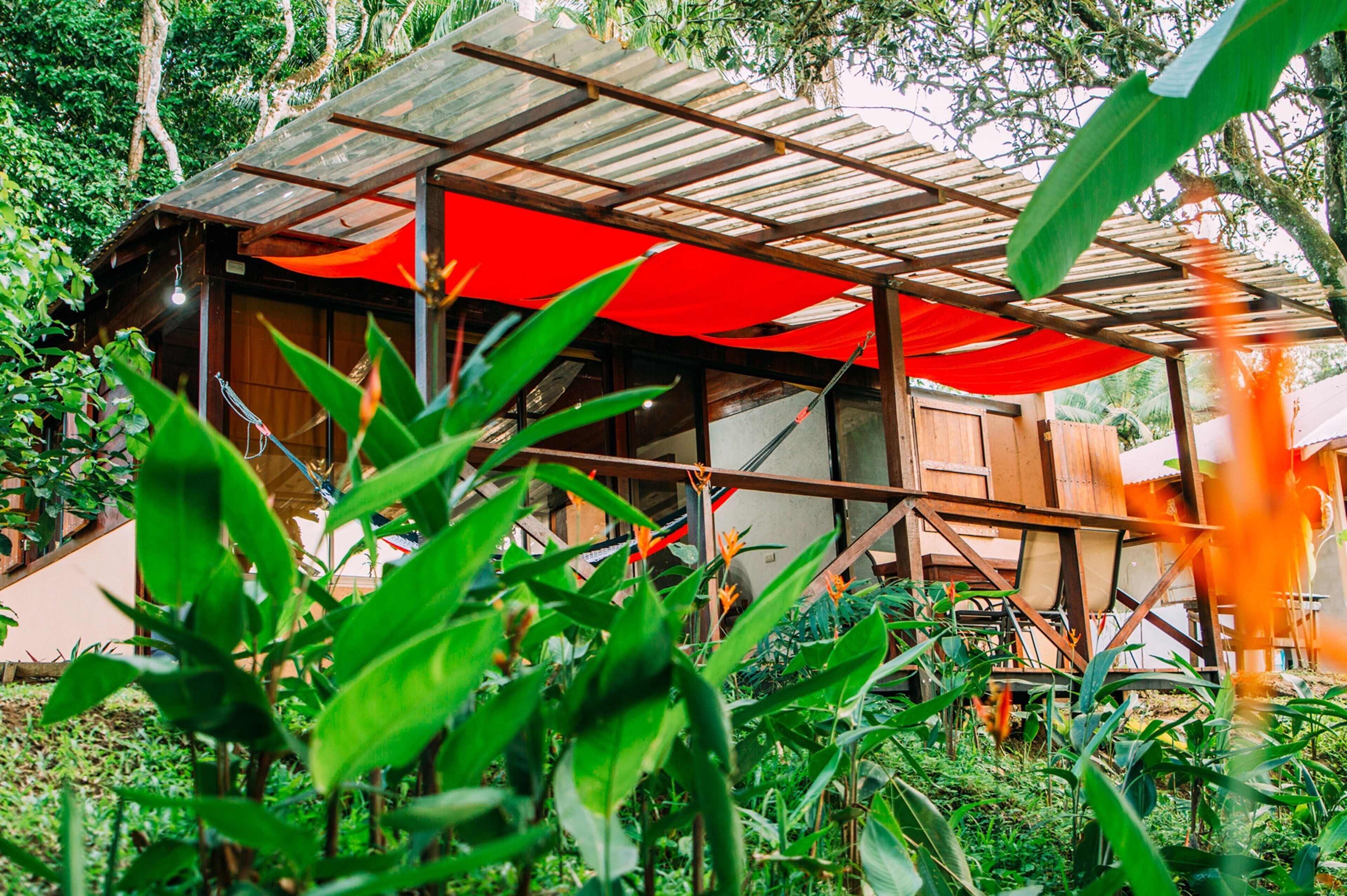 Deluxe-Bungalow, 2 Queen-Betten (Roble) | Terrasse/Patio