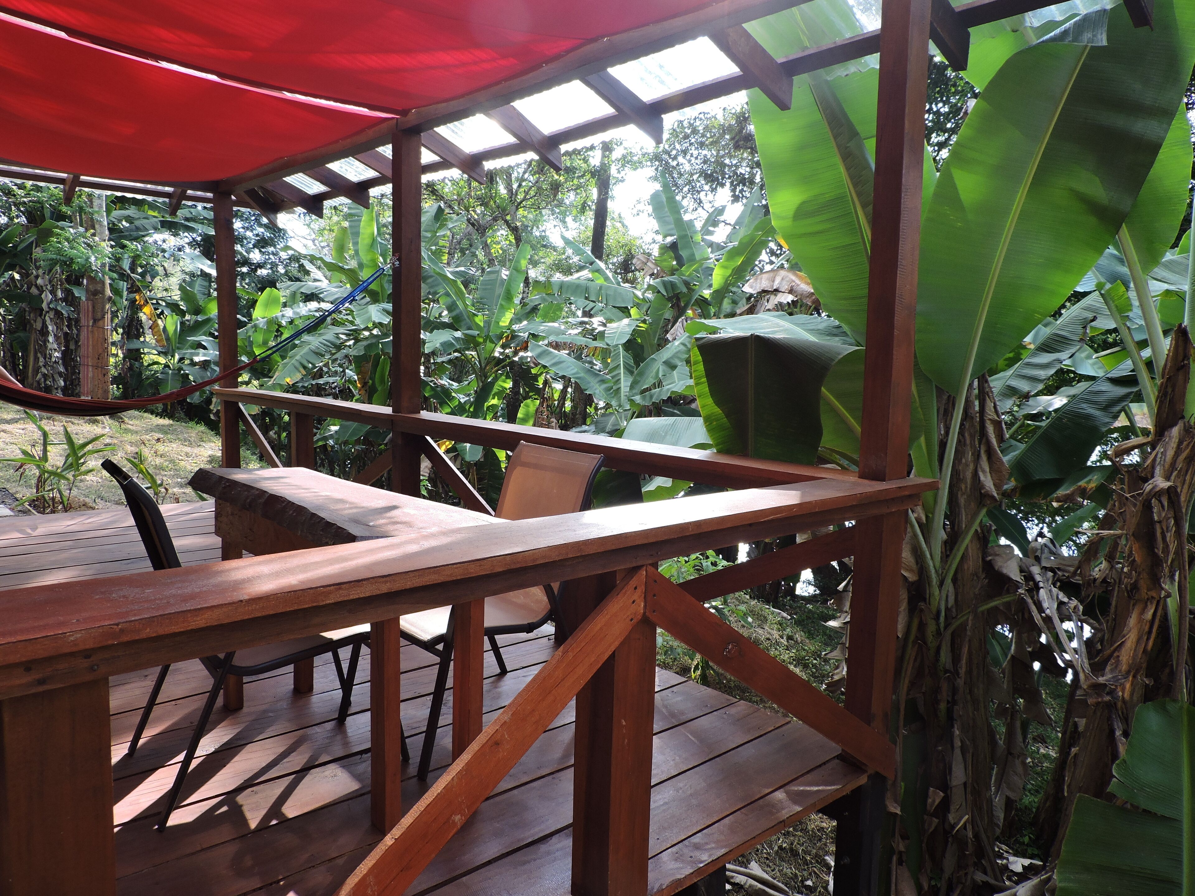 Une terrasse en bois surmontée d’un auvent rouge, entourée de luxuriants bananiers et d’autres plantes vertes.