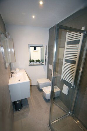 Shower, hair dryer, bathrobes, bidet