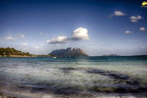 Beach - Cozy rooms to rent in Olbia City Center (Olbia)