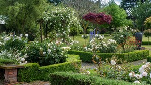 Un jardin bien entretenu, agrémenté de diverses plantes à fleurs et de haies taillées avec soin.