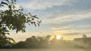 Un bain à remous en bois, avec un verre d’eau posé sur une table, entouré d’une zone herbeuse avec des arbres, et un coucher de soleil en arrière-plan.