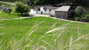 Een landhuis met een stenen gevel en een pannendak, omgeven door weelderige groene velden en bomen.