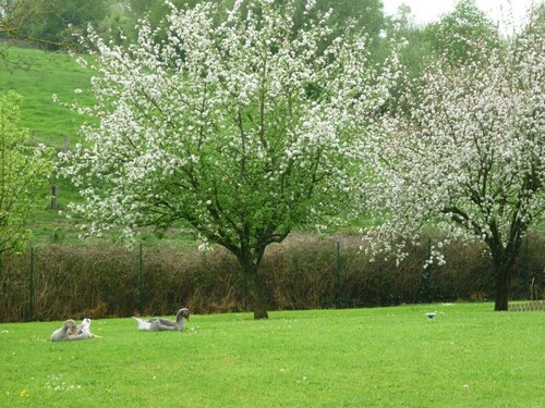 Spacious YELLOW room - Breakfast included