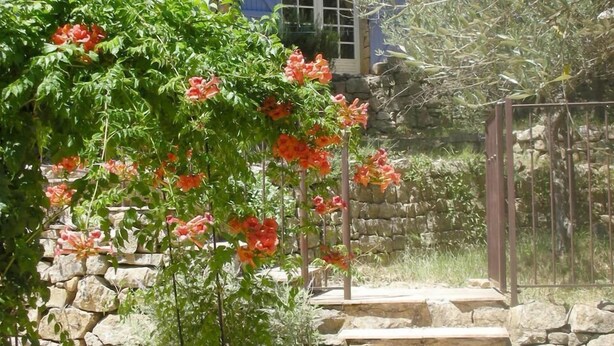 A stone staircase leading to a rustic building with a blue shuttered window and a small tower-like structure.