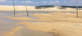 Cap Ferret peninsula, bright apartment with large terrace, T5 - 7 people