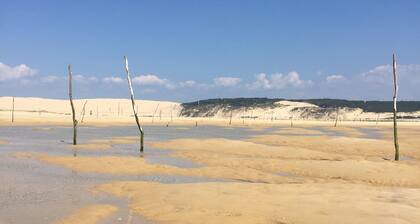 Presqu'Ăźle Cap Ferret, Appartement lumineux avec grande terrasse, T5 - 7 pers