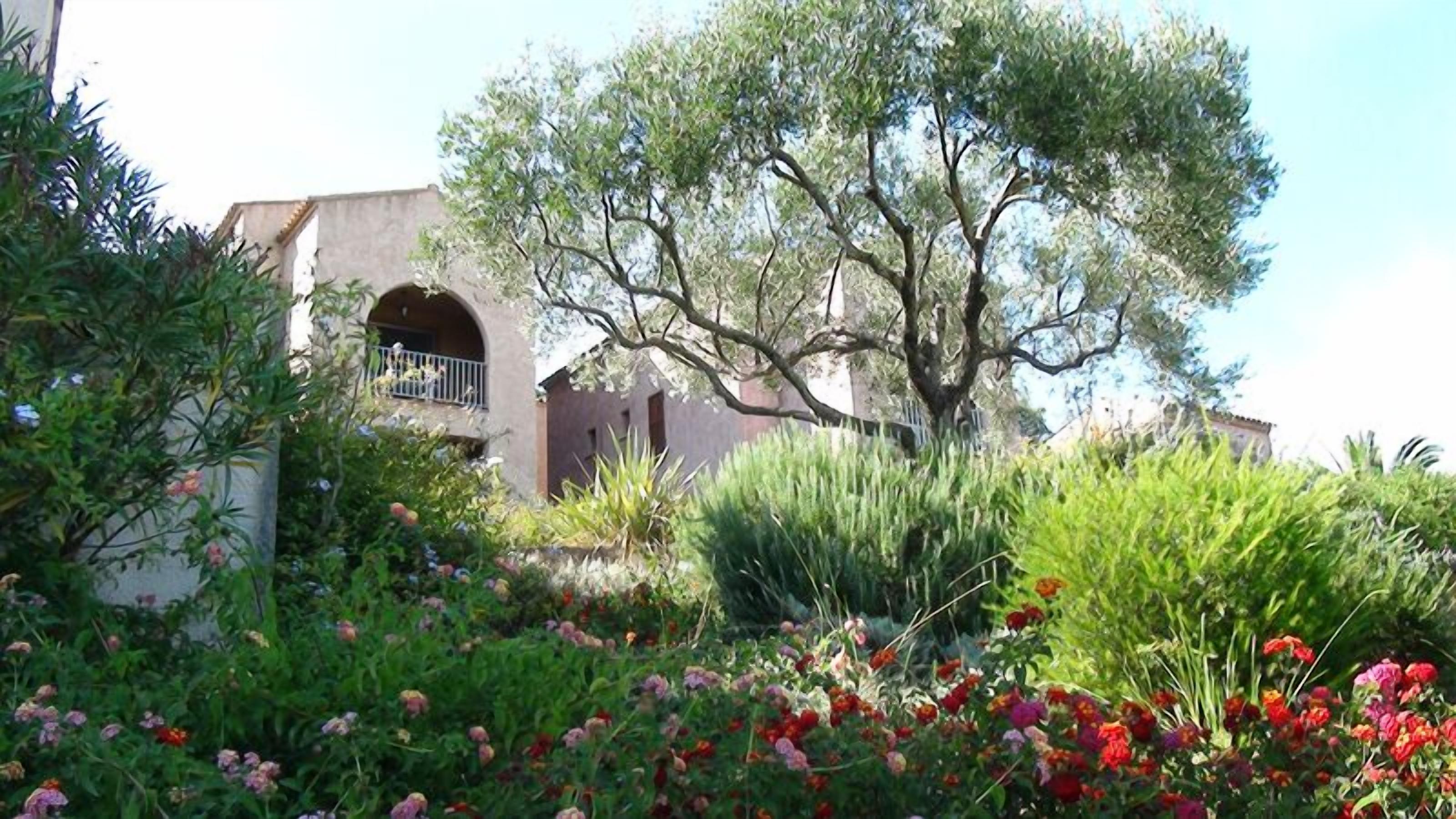 house / villa - CALVI