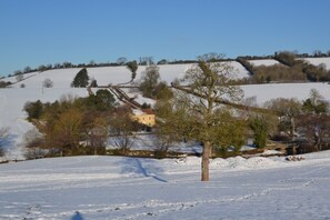 Property grounds - Luxury Shepherds Hut with hot tub and WiFi in rural location near Bath +Bristol (Bristol)