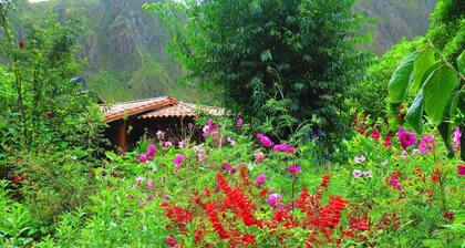 Beautiful country home in a secluded garden