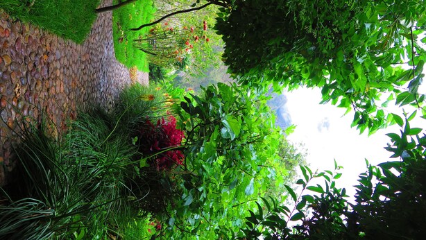 Ein Garten mit einem Kiesweg, üppigem Grün und blühenden Pflanzen.