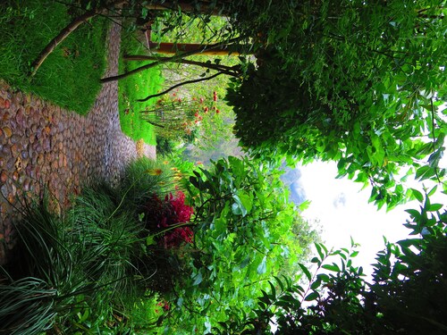 Beautiful country home in a secluded garden