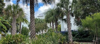 Palm House- Prime Setting and 5 Stars