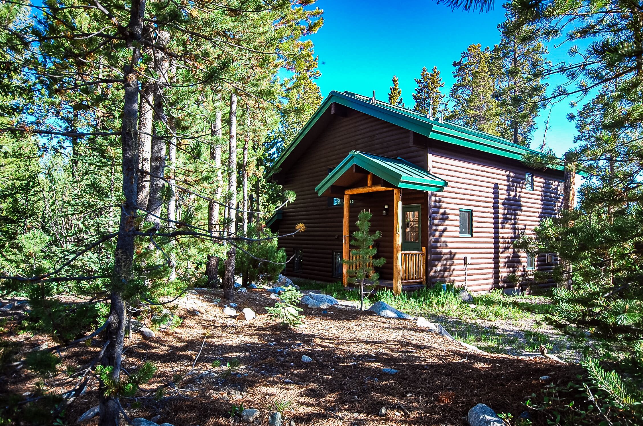 Golden Moose Cabin- Columbine Lake Home. Sleeps 8!