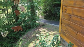 A wooden cabin with a dirt path leading through a wooded area. - Cedar Bear Cabin - Cozy Mountain View Couples Retreat (Franklin)