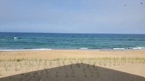 Une plage de sable avec quelques touffes d’herbe, un ciel dégagé et l’océan.