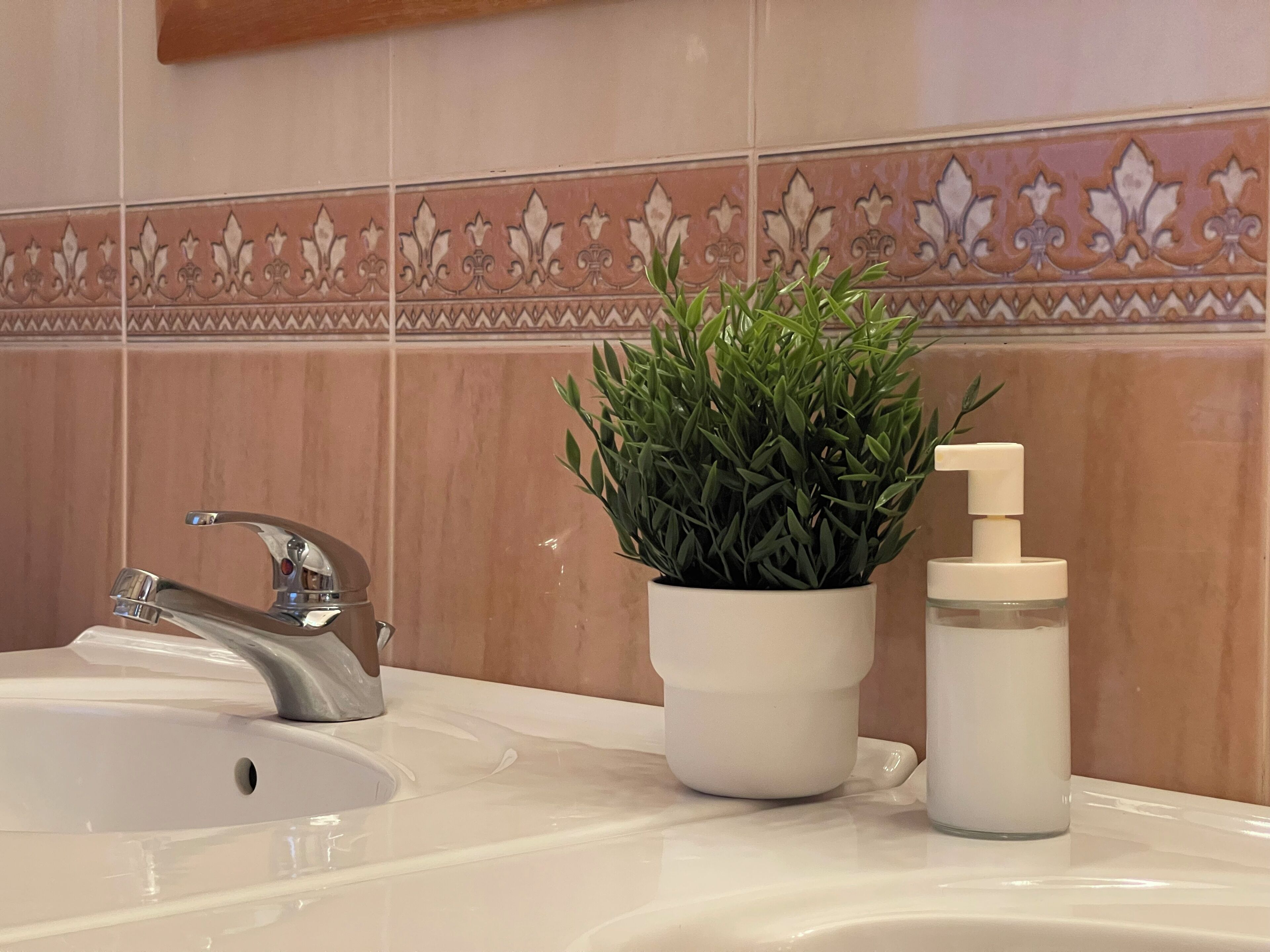 A bathroom sink with a faucet, a potted plant, and a soap dispenser.