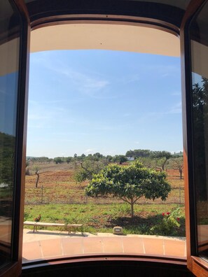 Interior - Beautiful rural villa (Ibiza Town)