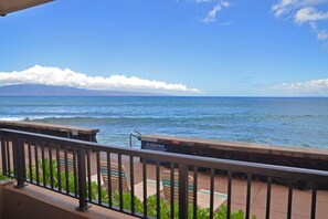 Property grounds - Maui Kai #103, Beautiful Ocean Front Studio! (Lahaina)