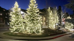 A residential area at night with illuminated Christmas trees in the foreground.
