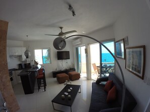 TV connectée, cheminée, livres