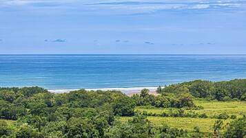 Beach nearby, sun loungers, beach towels