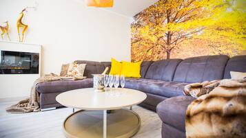 Smart TV, fireplace, books, stereo