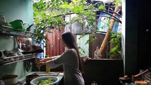 A person washing dishes in a kitchen with a view of a bamboo plant and a wooden fence. - Mercy Homestay - Experience Vietnam rural life (Individual) (Hội An)