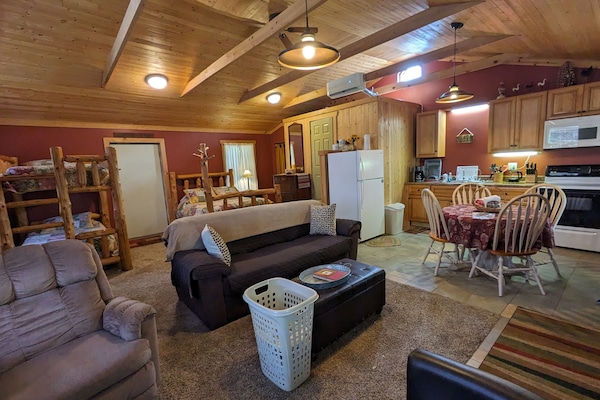 TV, DVD player, video library, stereo