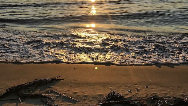 A beach scene with the sun reflecting on the water, a sandy shore, and a distant landmass. - The Fairy Tern, PRIVATE/ONE-OF-A-KIND 4bd/3bth on Tybee's North End (Tybee Island)