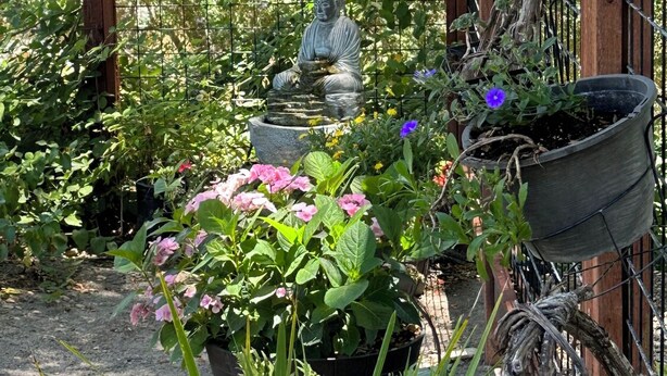 A garden with a Buddha statue, potted plants, and hanging flower baskets. - Colony Haven in the Oaks (Atascadero)